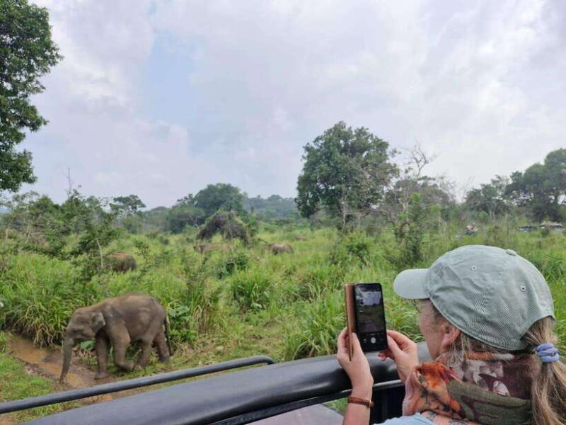 Colombo to Yala via Sigiriya, Kandy Private 4-Day Tour - Who Should Consider This Tour?
