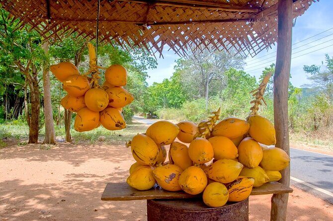 Colombo TukTuk Adventure Explore Street food & Culture - FAQ