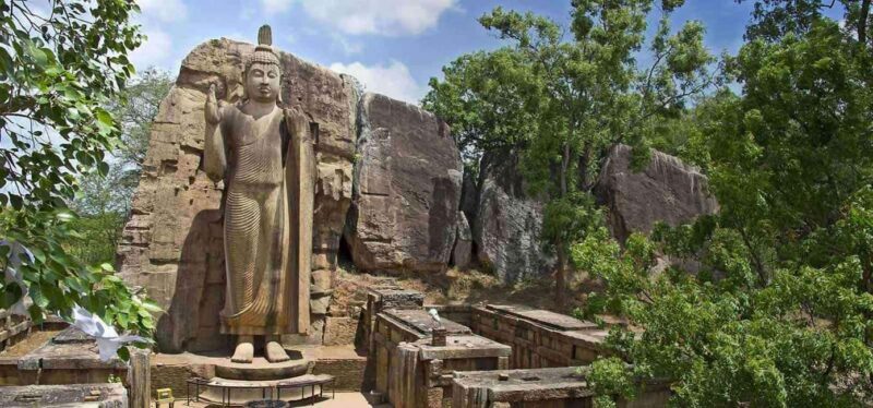 Colombo:Anuradhapura & Wilpattu Safari All Inclusive Tour - An Overview of the Tour Experience