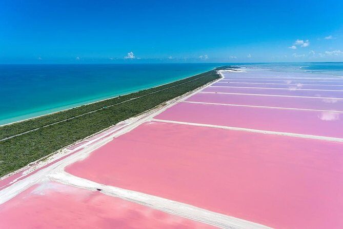 Colonial City of Valladolid, Pink Waters of Las Coloradas and Pink Flamingos - Introduction