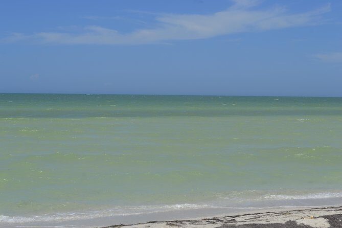 Coloradas Bioexperiences - Exploring the Itinerary: What to Expect on This Bird and Nature Tour