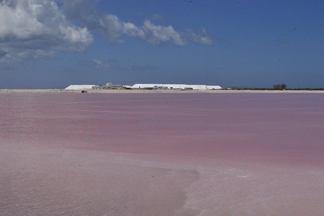 Coloradas Bioexperiences - Practical Tips for Your Day