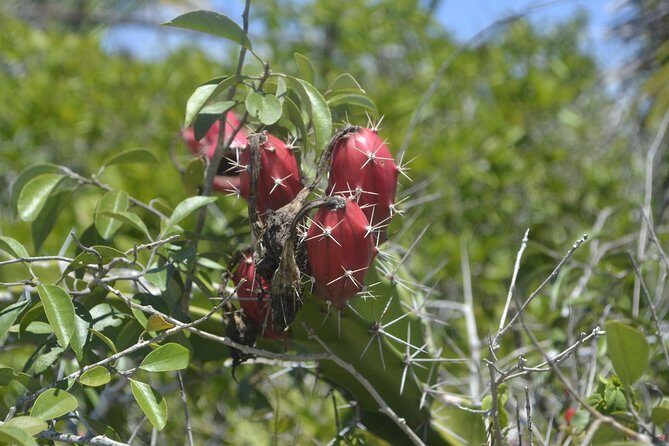 Coloradas Bioexperiences - Summary: The Value of Connecting with Yucatan’s Natural Beauty