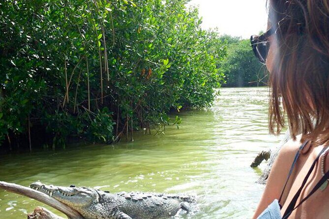 Coloradas, Ria Lagartos Boat Trip & One Natural Beach from Merida - FAQ