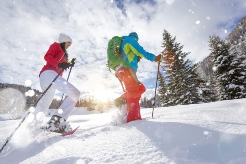 Colorado Backcountry: Guided Snowshoe Tour - The Scenic Highlights and Trail Experience
