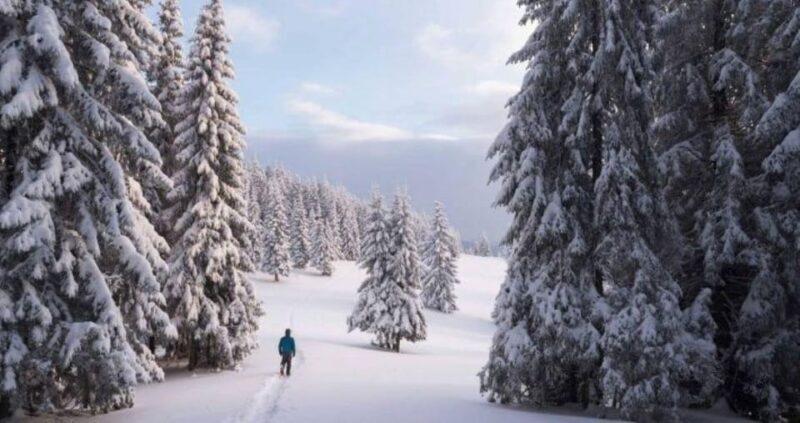 Colorado Backcountry: Guided Snowshoe Tour - FAQ