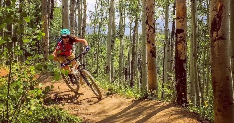 Colorado: Guided Mountain Bike Ride - The Experience in Detail