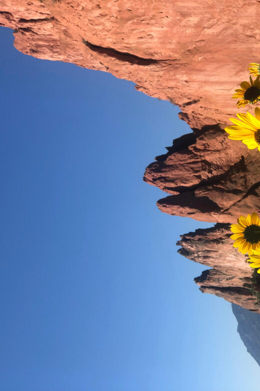 Colorado Springs: Garden of the Gods & Historic Town Tour - An In-Depth Look at the Tour Experience