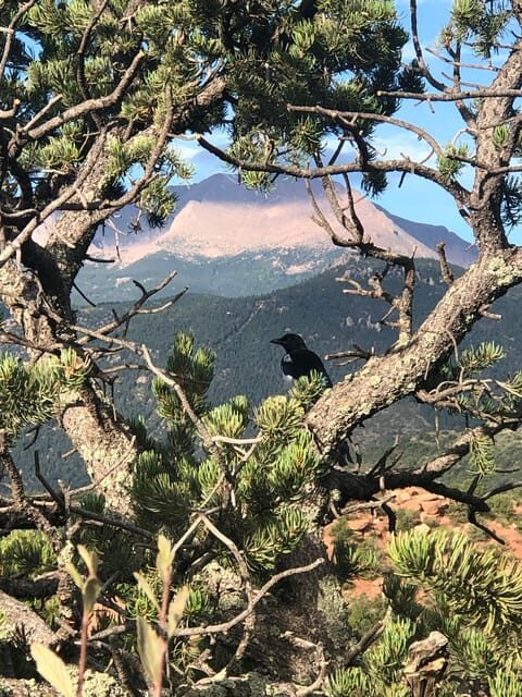 Colorado Springs: Garden of the Gods & Historic Town Tour - Final Words