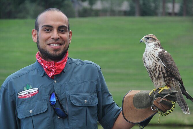 Colorado Springs Hands-On Falconry Class and Demonstration - The Itinerary: What You’ll Do