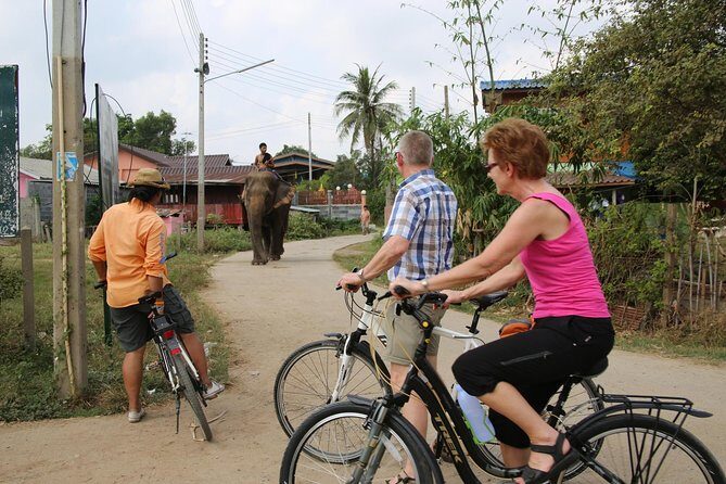 Colors of Ayutthaya Full-Day Bike Tour - FAQs