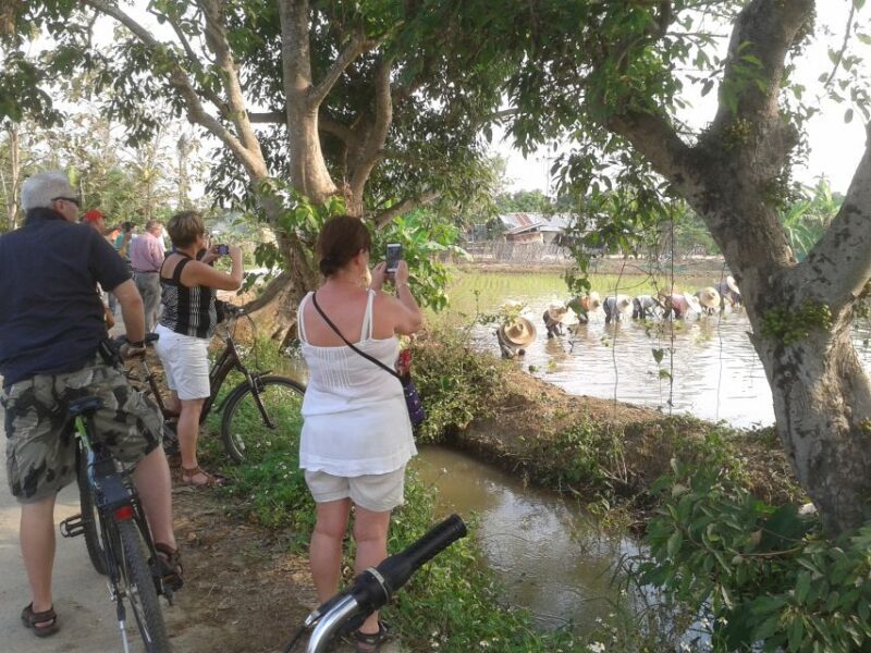 Colors of Chiang Mai Guided Bicycle Tour - Key Points