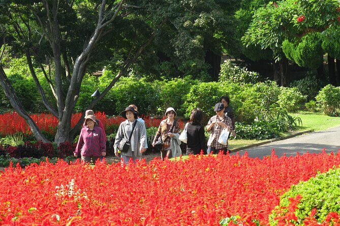 Colors of Japan, Fukuoka Nokonoshima Island Park & Wagyu BBQ - What Makes This Tour Stand Out?