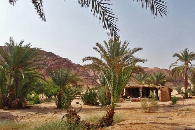 Coloured Canyon and White Canyon 1-day Jeep Safari From Dahab - Transportation and Group Size