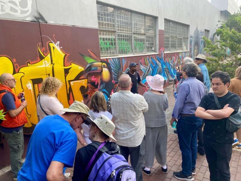 Colours of Johannesburg: A Graffiti & Street Art Tour - An In-Depth Look at the Tour