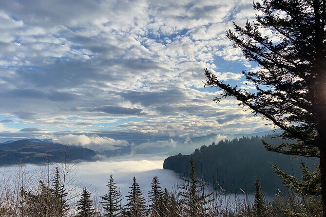 Columbia Gorge Scenic Bikeway full day ride - Why Choose This Tour?