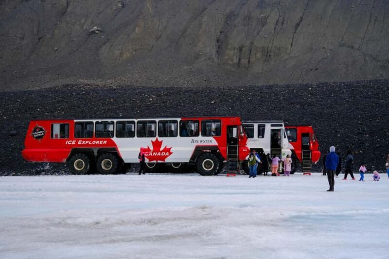 Columbia Icefield Adventure, Bow Lake & Peyto Lake Tour - What Makes This Tour Stand Out?