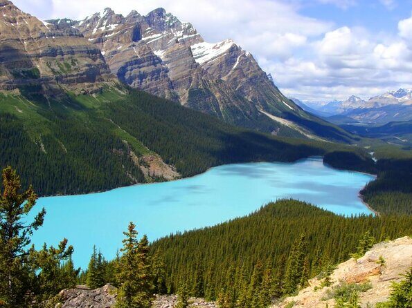 Columbia Icefield Glacier Adventure Day Tour from Calgary/ Banff - Key Points