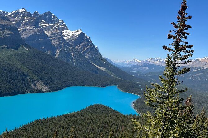 Columbia Icefield Peyto Lake Bow Lake from Calgary Canmore Banff - Who Should Book This Tour?