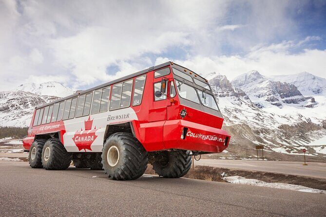 Columbia Icefield Skywalk Peyto Lake Bow Lake Tour from Calgary - Key Points