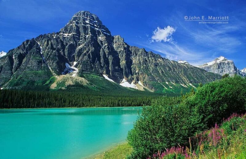 Columbia icefield, Skywalk, Waterfowl, Bow & Peyto Lake Tour - Exploring the Full-Day Rocky Mountain Experience
