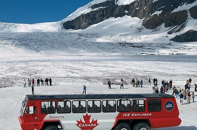 Columbia Icefield,Peyto Lake,Bow Lake Day Trip from Banff/Calgary - Practical Details and Tips