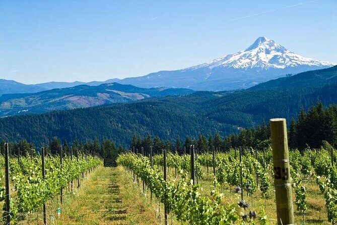 Columbia River Gorge Waterfall Tour from Portland - An In-Depth Look at the Columbia River Gorge Waterfall Tour