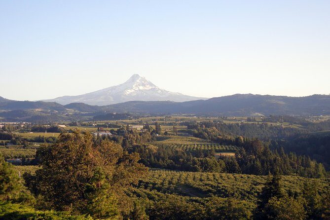 Columbia River Gorge Waterfalls & Mt Hood Tour from Portland, OR - The Sum Up