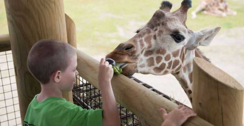 Columbus: Multiple Attractions Pass - What to Expect from the Columbus Attractions Pass