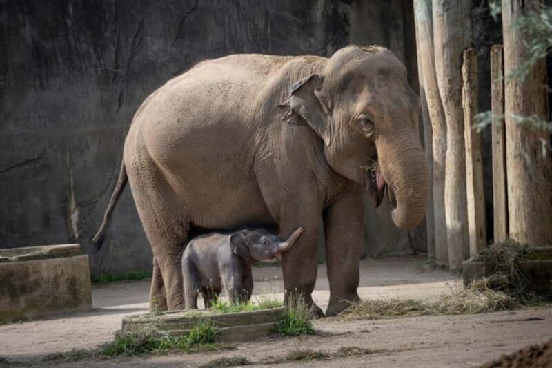 Columbus, OH: Columbus Zoo and Aquarium Entry Ticket - Who Will Appreciate This Experience Most?