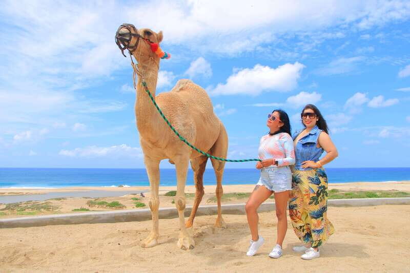 Combo 4X4 Automatic ATV & Camel Ride in Cabo by Cactus Tours - The Sum Up