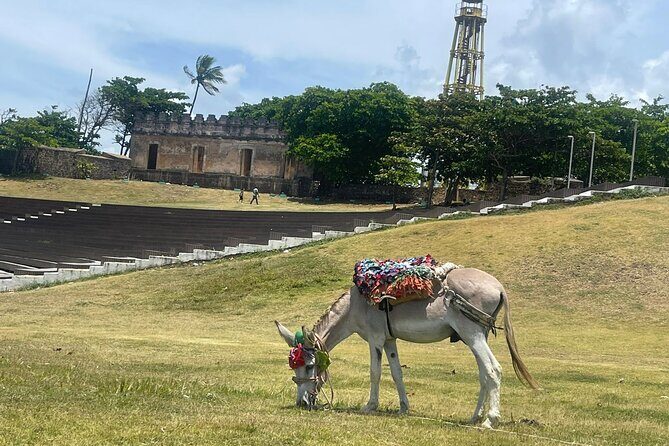 Combo : ATV Adventure with City Tour in Puerto Plata - What’s Included and What’s Not