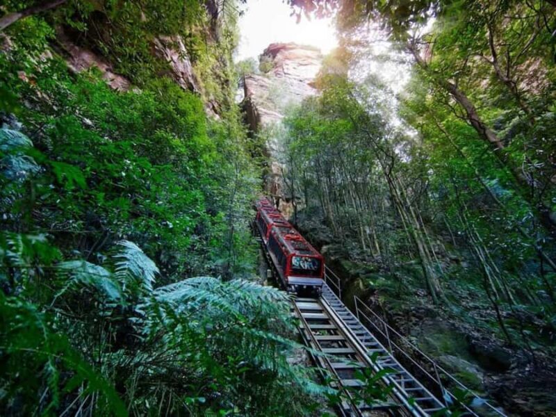 Combo: Blue Mountain Tour + Sydney Hop-on-Hop-off Bus Ticket - A Closer Look at the Itinerary