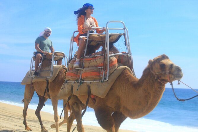 Combo Camelback Safari and ATV Ride Combo Tour Adventure - Key Points