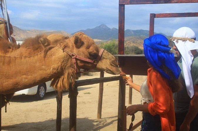 Combo Camelback Safari and ATV Ride Combo Tour Adventure - The Sum Up: Who Should Consider This Tour?