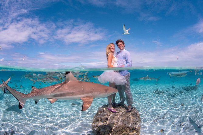 Combo Diving and Snorkeling Full Day Tour - FAQ