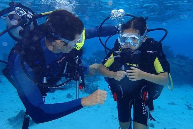 Combo Diving and Snorkeling Half-Day Tour - Key Points