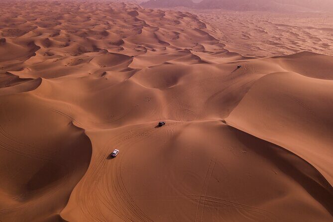 Combo Doha City Tour and Desert Safari - The Sum Up