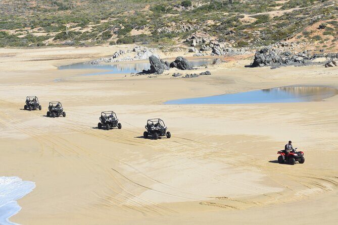 Combo Double Utv + Horses - FAQ