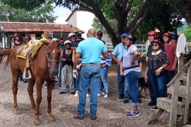Combo Horse Back Riding and Zip Line in Vallarta - The Value of This Experience