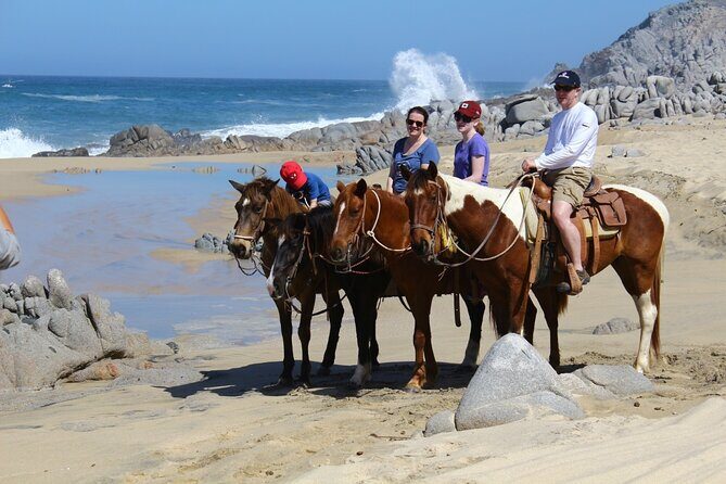 Combo Horseback Beach Ride & ATV Adventure. Tequila Tasting - Who Is This Tour Best For?