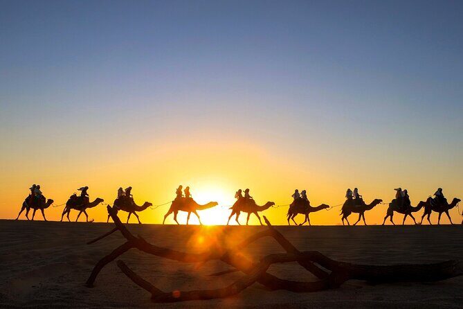 Combo Horseback ride & Sky Bike in Cabo by Cactus Tours Park - What Travelers Say
