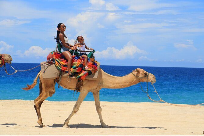 Combo Horseback ride & Sky Bike in Cabo by Cactus Tours Park - FAQ