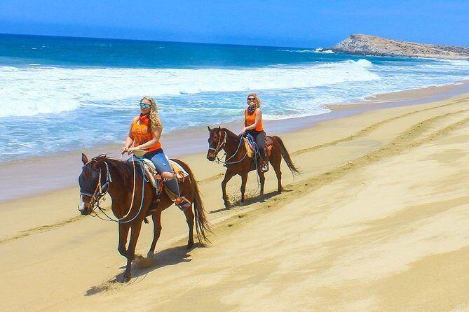 COMBO Horseback Riding & UTV Tour - A Deep Dive into the Experience