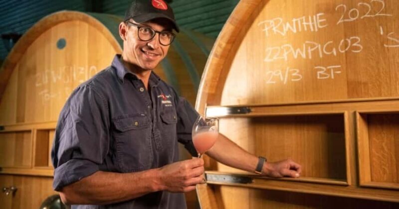 Combo: Hunter Valley Tour + Sydney Hop-on-Hop-off Bus Ticket - The Practical Side: Transportation, Price, and Value