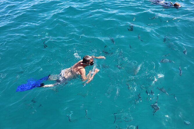 Combo Tour: City Tour of Cabo San Lucas and Beach Day - Final Thoughts: Is It Worth It?