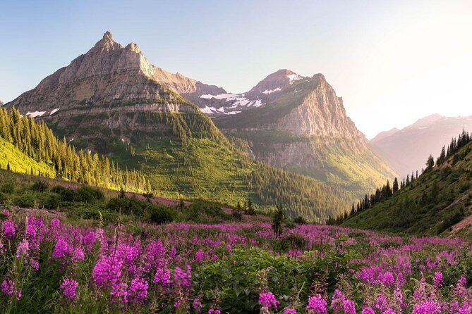 Combo Tour: Driving and Snowshoe Trek of Glacier National Park - Key Points