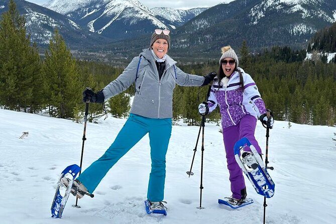 Combo Tour: Driving and Snowshoe Trek of Glacier National Park - Detailed Breakdown of the Itinerary