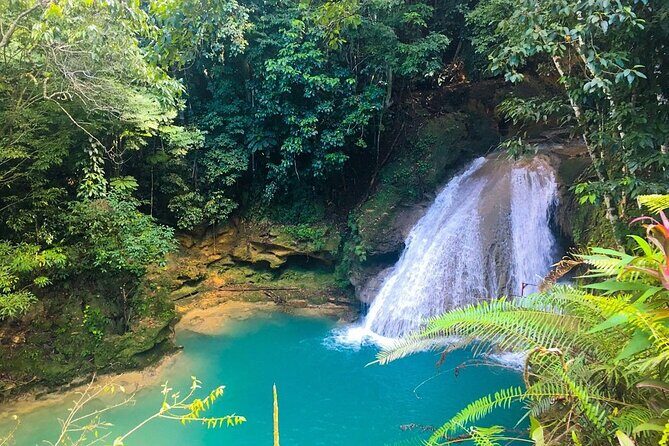Combo Tour Dunn's River Falls and BlueTour from falmouth - Who Will Love This Tour?
