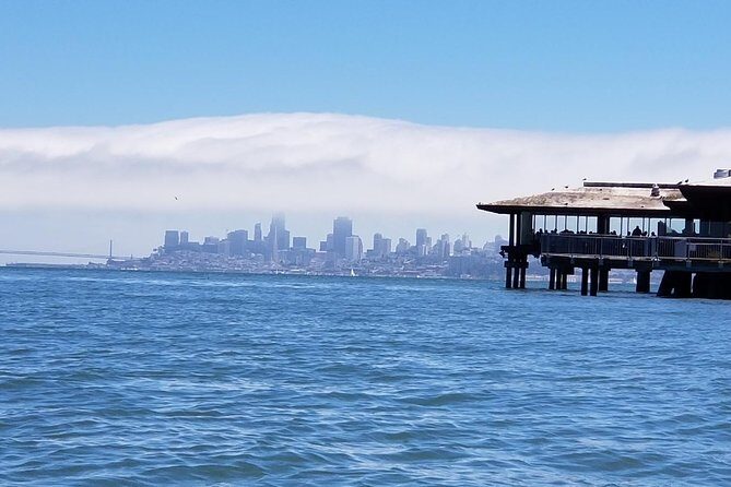 Combo Tour: Muir Woods, Sausalito and Sonoma Wine Country Tour - Pricing and Value
